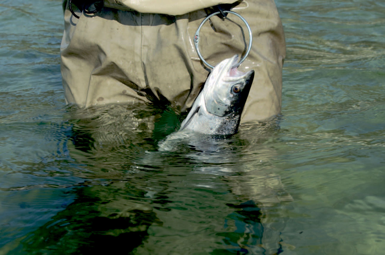 Der kan til tider være megetlangt mellem fiskene – urimelig langt. Men vejen er målet og den største del af det at være hav - ørredfisker. Så nyd tiden mellem fiskene og fryd dig når endelig en fin fisk hænger og dingler i galgen.