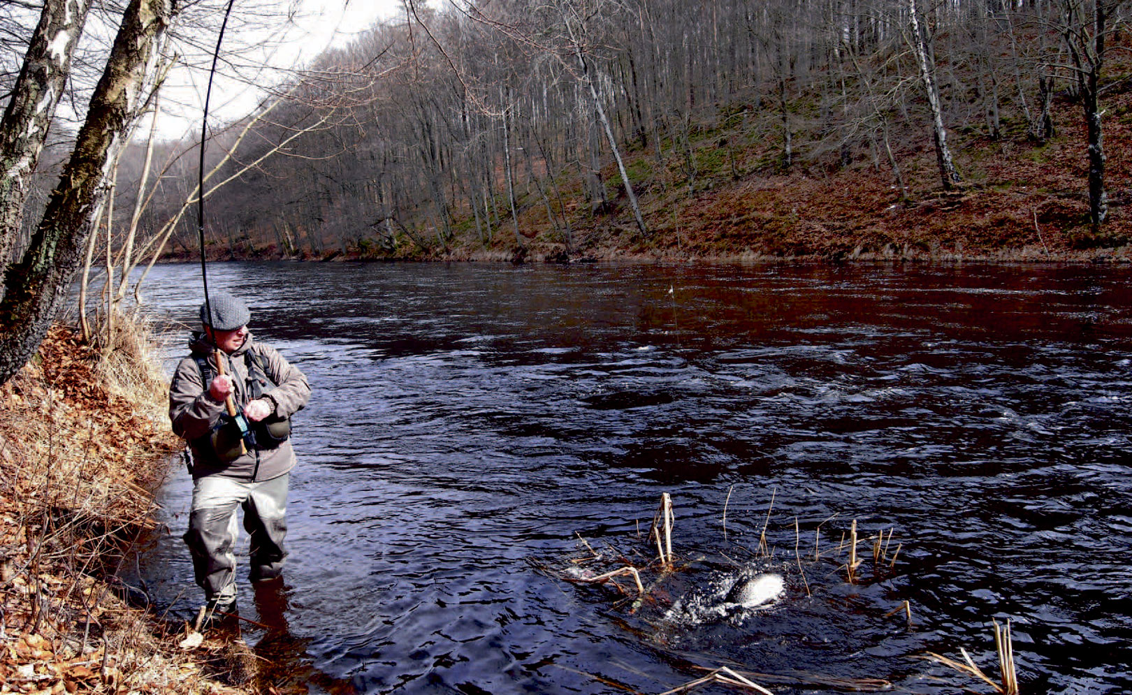 Selv om det kan være koldt i dethelt tidlige forår, så giver en fin havørred som denne hurtigt varmen.