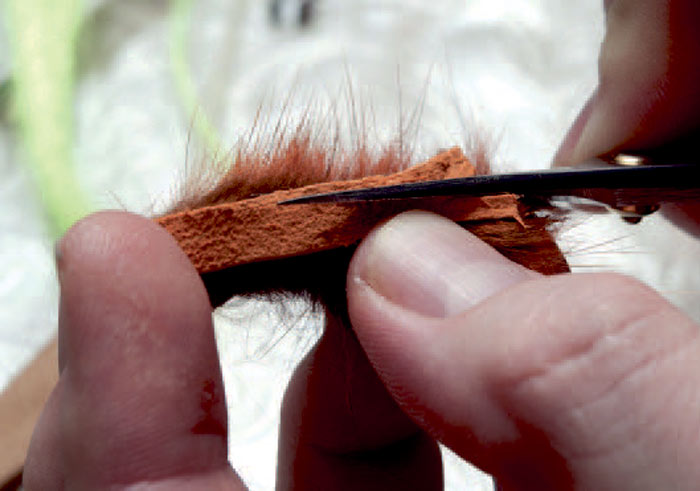 3: Klargør en vinge ved medsaksen at tapere den kraftigt. Klip med skindsiden opad og mod hårenes vokseretning, så går det let.