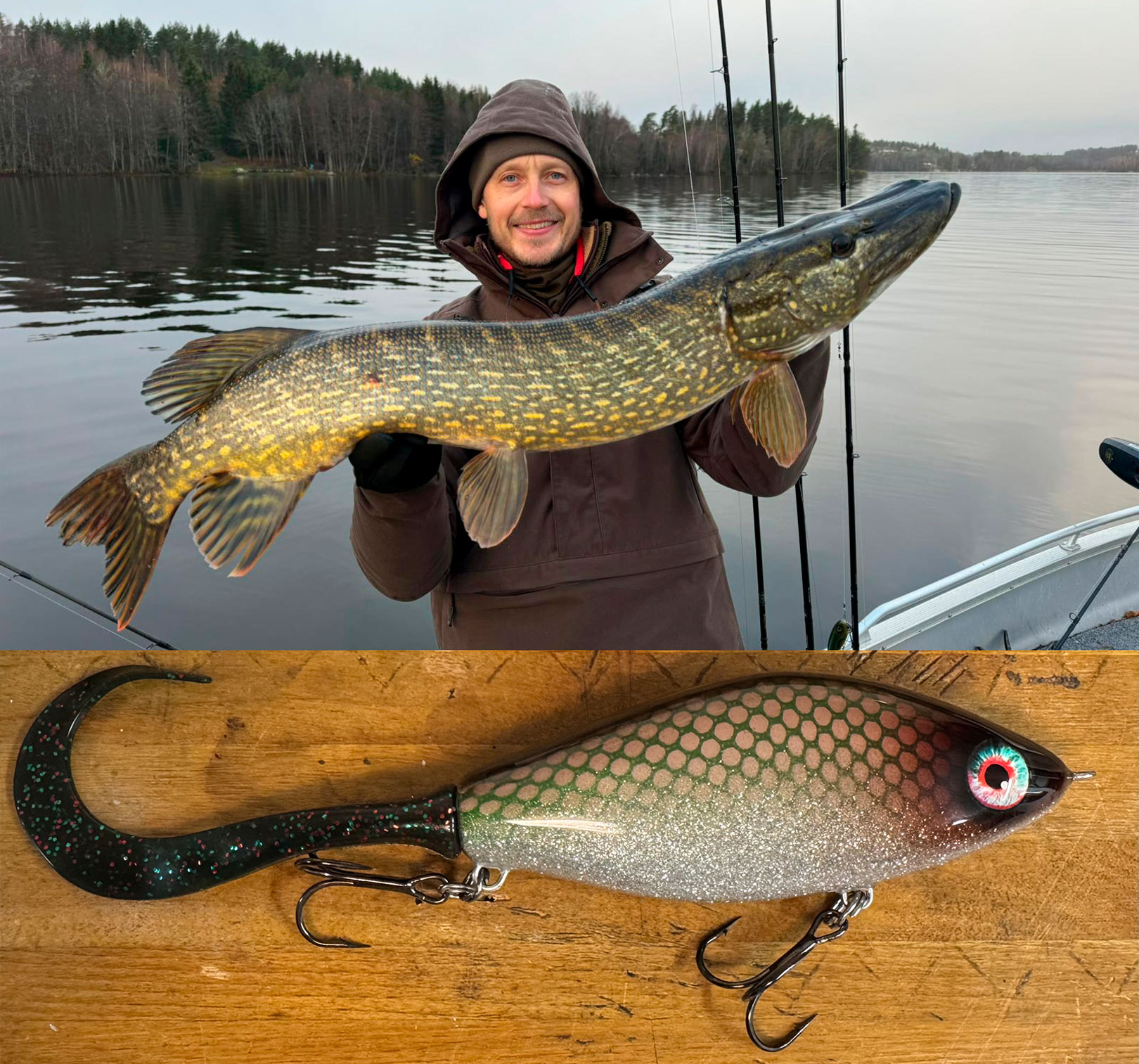 Pierres yndlingsagn er denne Guppie hybridagn - her i en super sjælden customfarve, som der kun findes et eksemplæar af i verden. Den var faktisk så dyr på tradera.com, at jeg nok hellere må¨holde den præcise pris for mig selv - men det var bare den helt perfekte farve, som jeg bare MÅTTE have.