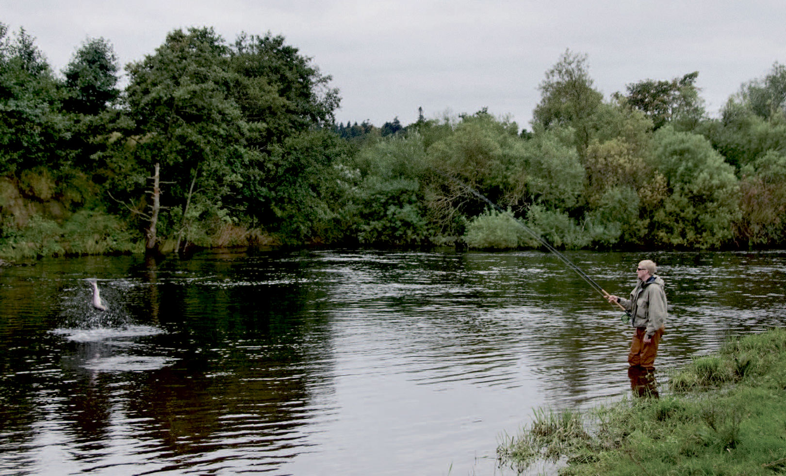En flot grilse danser luftballet påEarn floden. Fisken lod sig lokke af Ally’s Cascade Salmon Fly.