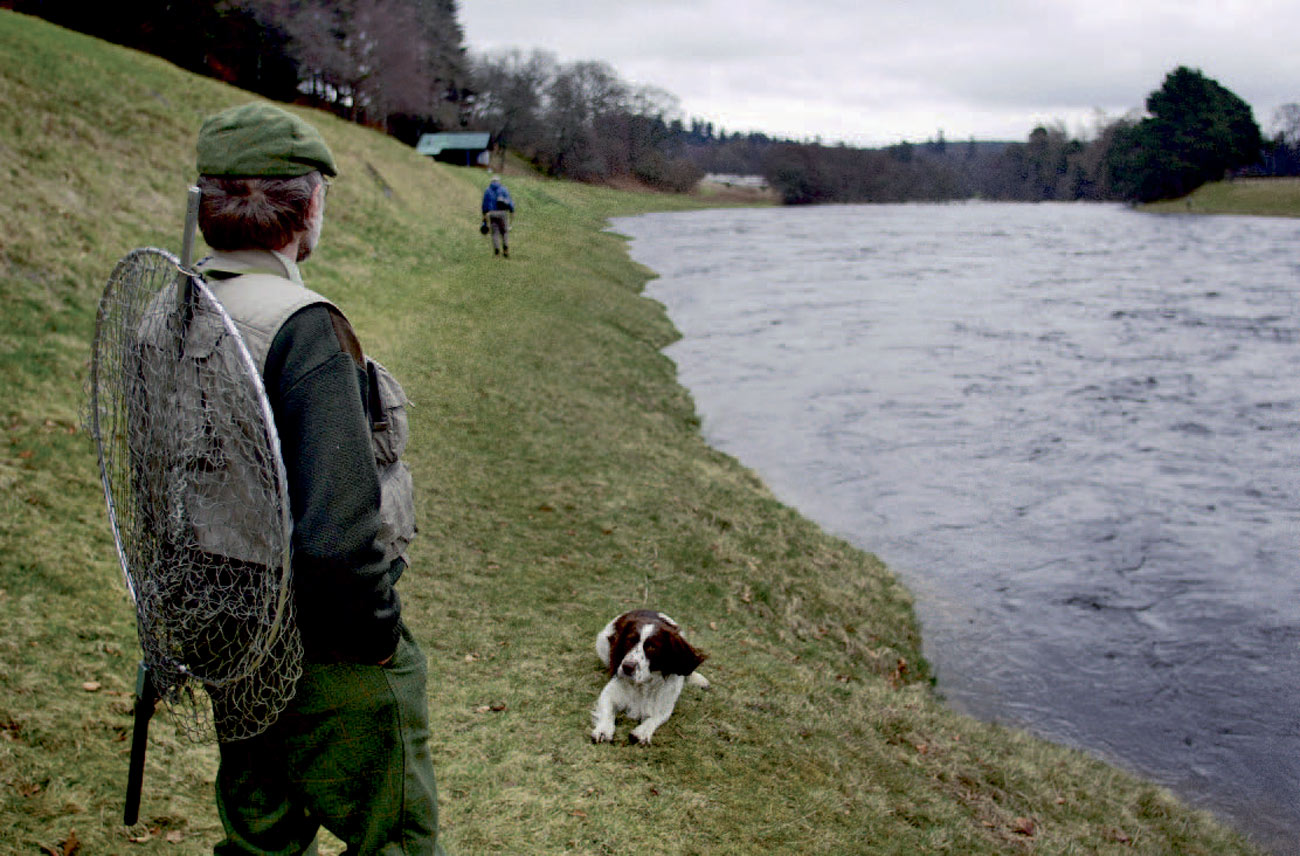 Gillien og hans hund holder øjemed både laks og fiskere – klar til at skride i aktion med gode råd – eller med nettet.