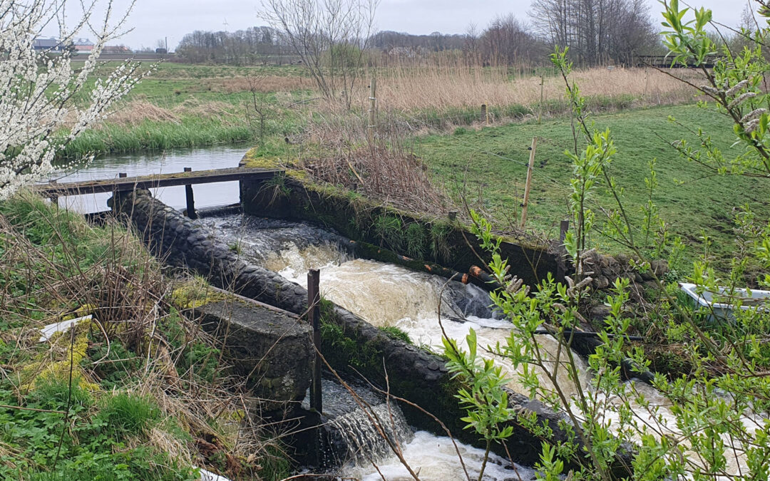 spærring ved Binderup Å