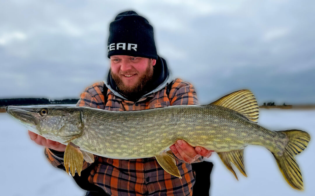 Mads Davidsen med en af sine mange flotte gedder fra isfisketuren. Øverst Jens Normark med turesn største gedde fra isen fanget på en død skalle.