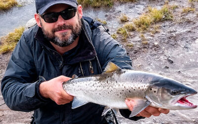 EN FLOT, BLANK HAVØRRED I VARMTVANDSLOMME