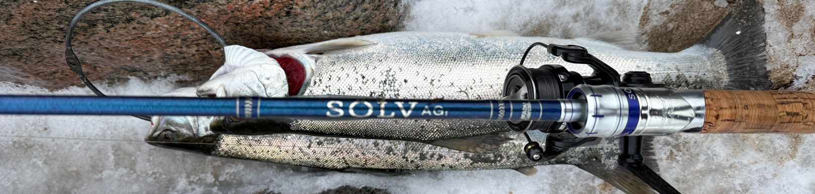 Der var også enkelte af Jonas´s mange blankfisk, der kom en tur med hjem til aftensmaden.