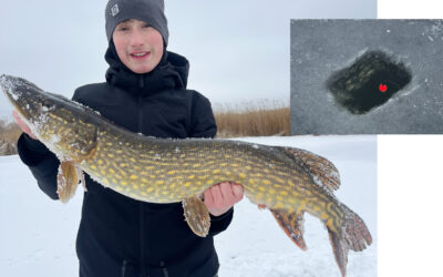 WESTIN CUP 2026: EN SMUK GEDDE FRA ISEN