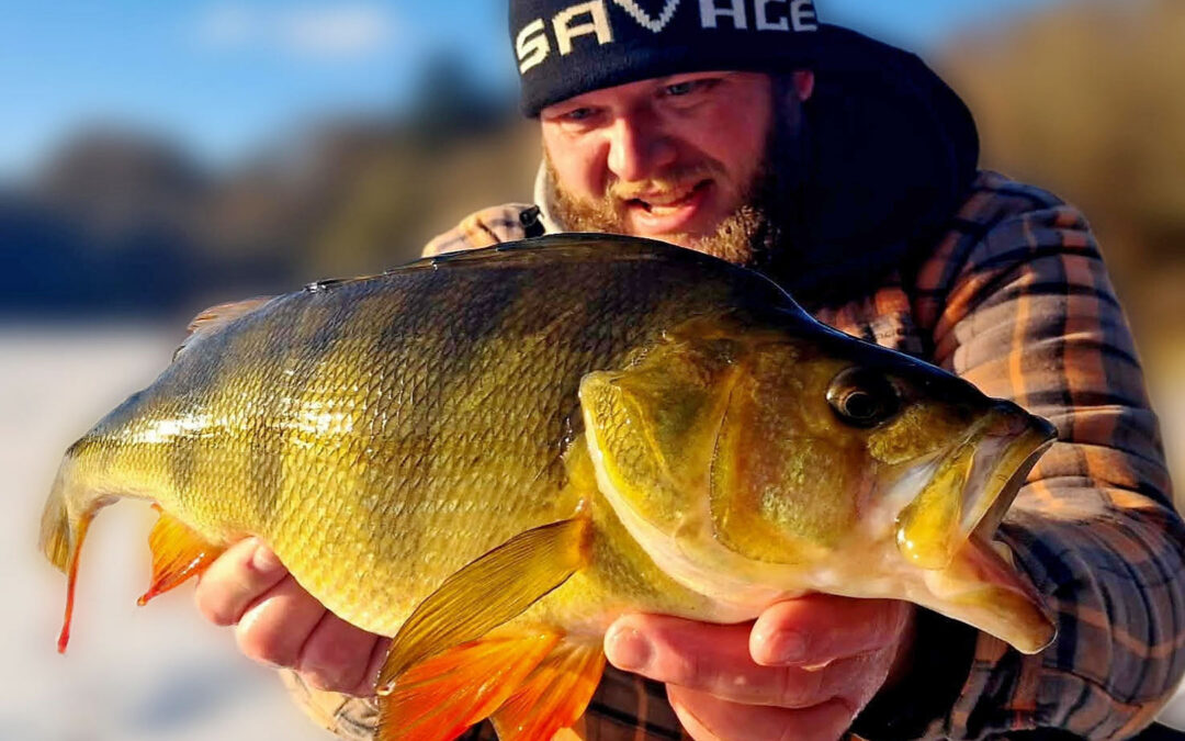 ABORREBONANZA PÅ ISEN