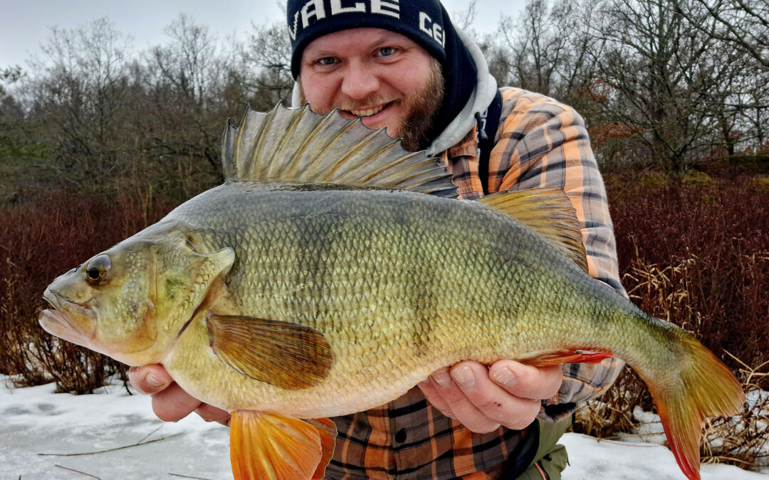 Mads Davidsen med sin 52 centimegers aborrer taget på isfiskeri.