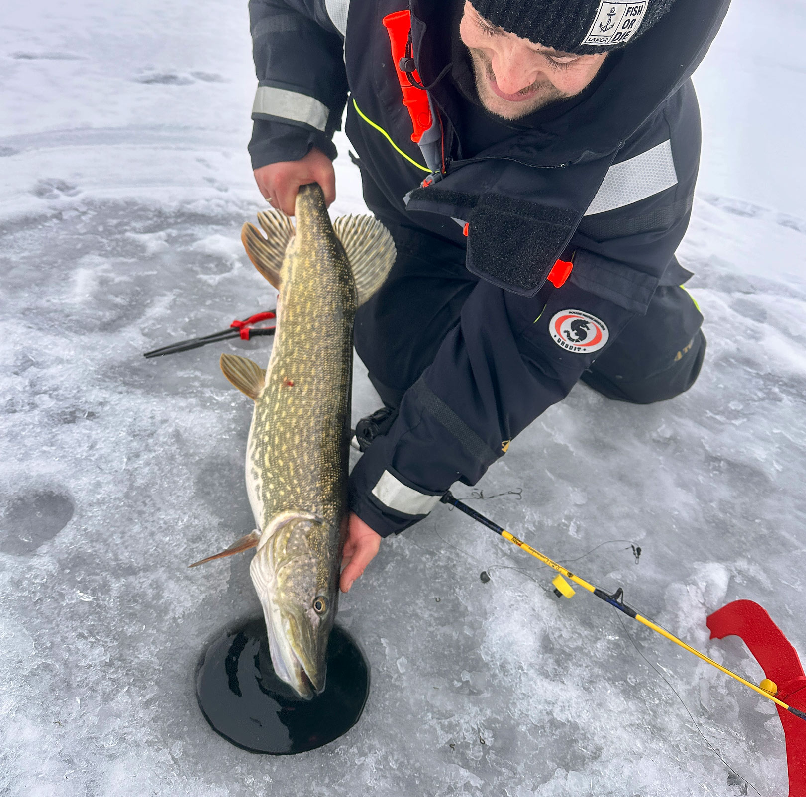 Alle gedderne Mikkel og hans ven fangede fra isen blev forsigtigt genudsat.
