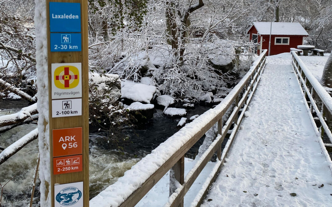 Premieren ved Mørrum er udskudt på grund af kulden denne vinter.