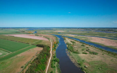 MERE SAMMENHÆNGENDE NATUR VED SKJERN Å