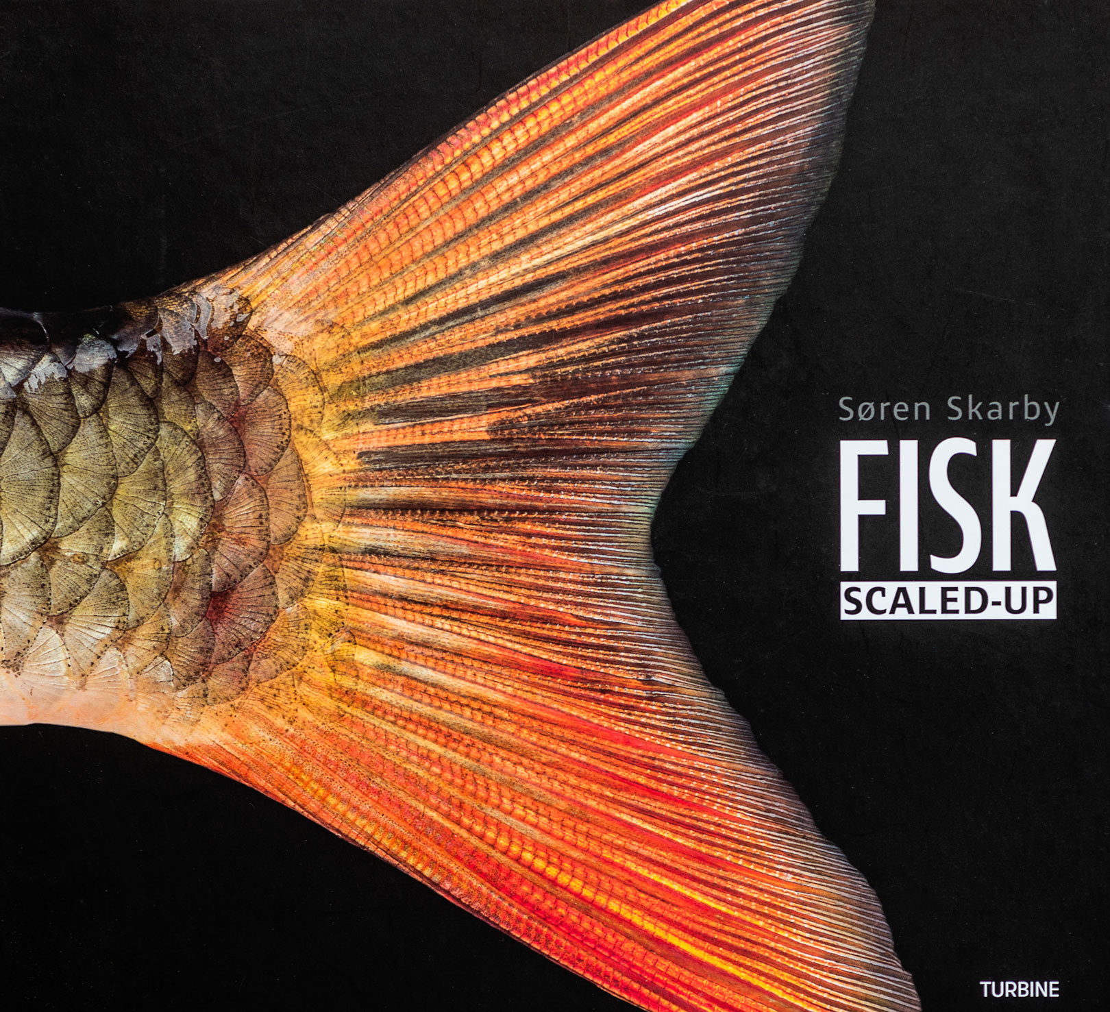 Søren Skarby er kendt for sin flotte fotobog "Fisk - Scaled up".