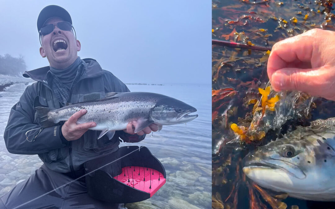 Jesper Petersen med en af sine flotte havørreder fra turen til Gotland.