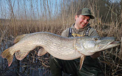 VANDGANG OG DOBBELT GEDDEHUG PÅ 25 KILO