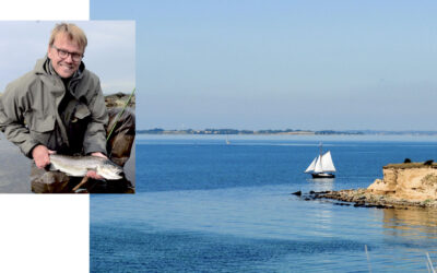 KYSTGUIDE: DE BEDSTE FISKEPLADSER TIL HAVØRRED PÅ DREJØ