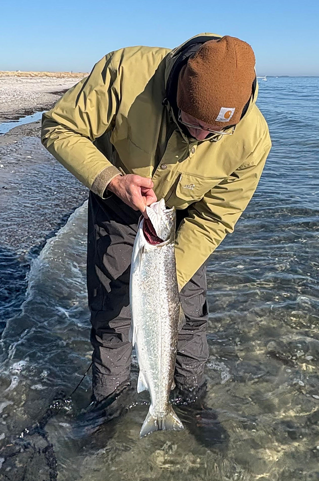 Så bliver en havørred ikke meget flottere!