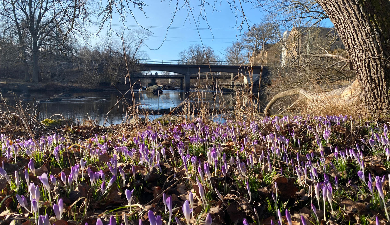 Premiere ved Mørrum 2026.