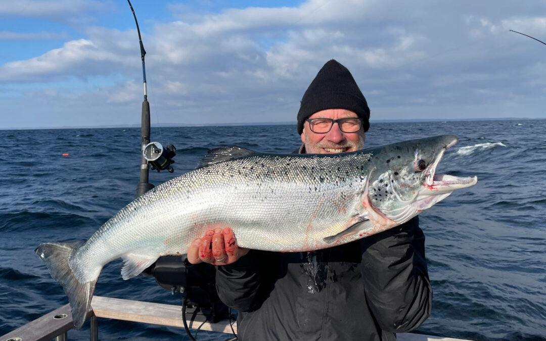 Anders Schou Jensen med en flot trollinglaks fra Bornholm.