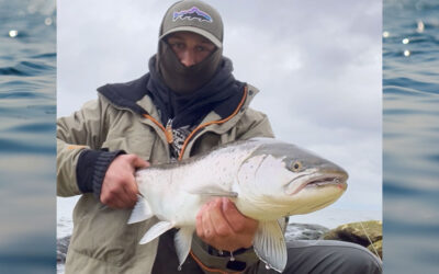 WESTIN CUP 2026: FLOT HAVØRRED HUGGER PÅ SØMMET