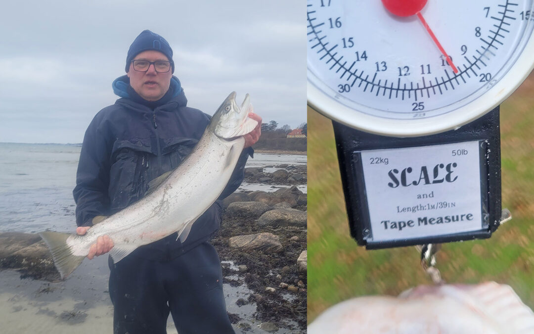 Bjørn Albertsen med sin gigantiske haværred fra Isefjorden.