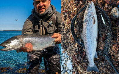 WESTIN CUP 2026: DUFTEN AF FORÅR OG LØSE SØLVSKÆL