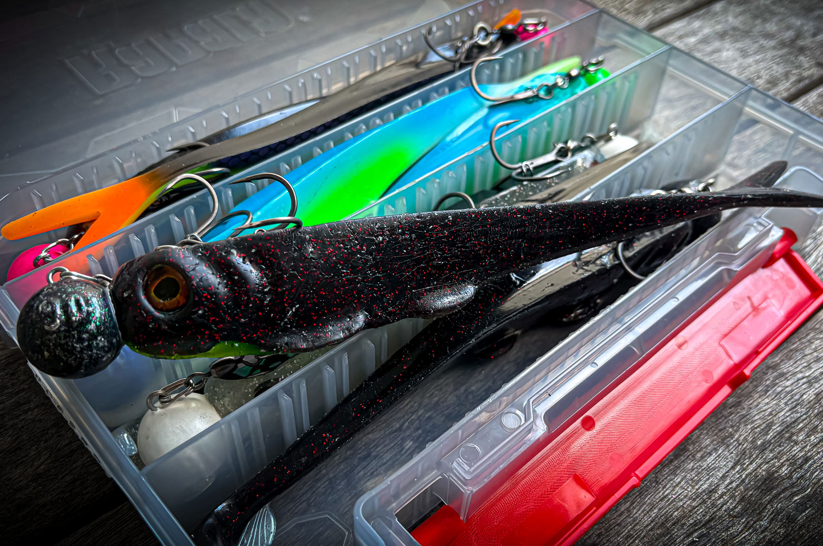 Storgedden blev fanget på softbaitet KSM Fatkamp 23 cm i farven "Knightrider" monteret med en XL Pelagic Stinger 2/0 fra Pikecraft Fishing. 