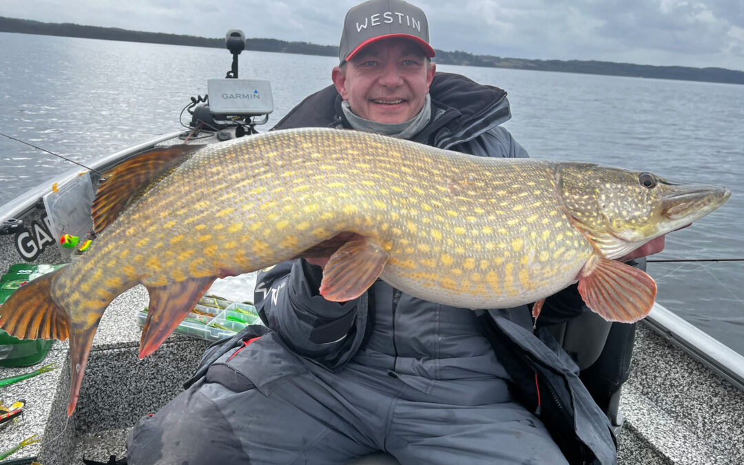 Flemming Jensen med sin flotte gedde fanget dagen inden fredningen.