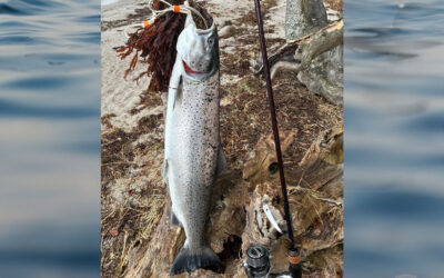 WESTIN CUP 2026: EN PERFEKT HAVØRRED TAGET PÅ BLINK