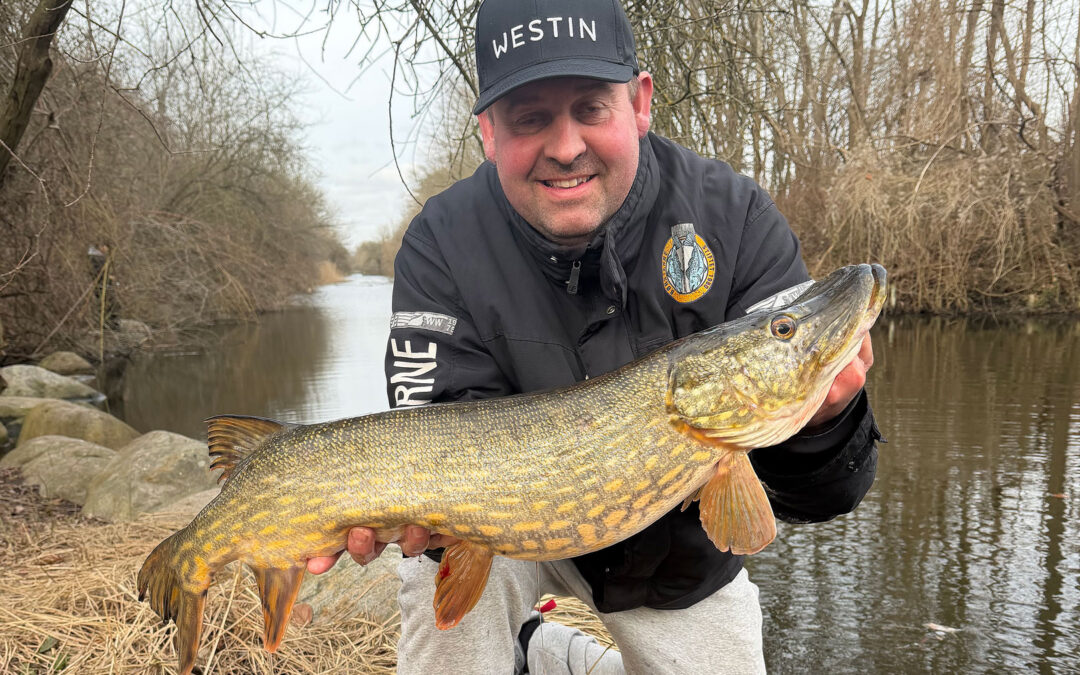 WESTIN CUP 2026: EN SMUK GEDDE GENFANGET VOLDGRAVEN