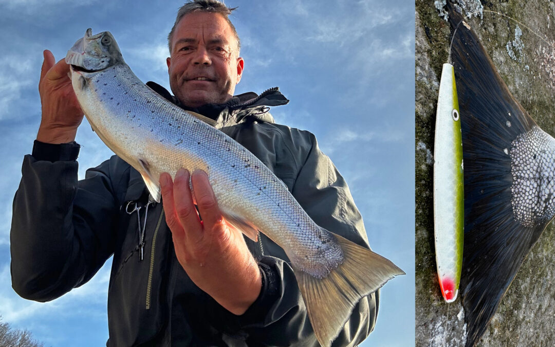 WESTIN CUP 2026: EN SMUK HAVØRRED FRA MØN PÅ BLINK