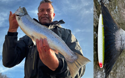 WESTIN CUP 2026: EN SMUK HAVØRRED FRA MØN PÅ BLINK