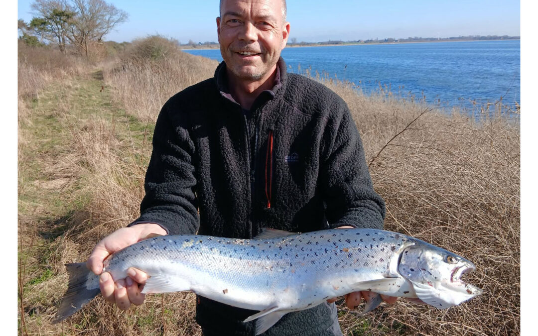 Jan Beier Rasmussen med sin flotte nye PR-havørred taget på kystfiskeri med blink.