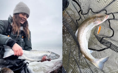 WESTIN CUP 2026: EN FLOT PR-KYSTHAVØRRED EFTER ISEN BRØD