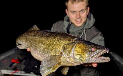 WESTIN CUP 2026: EN FLOT VERTIKALSANDART I MØRKET