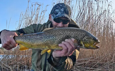 HAVØRRED OG FORÅR I FJORDEN