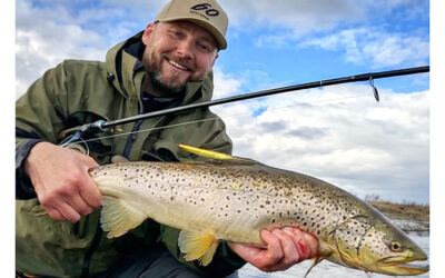 EN FLOT FJORDØRRED PÅ KYSTWOBLER