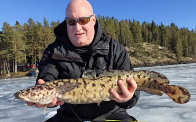 WESTIN CUP 2026: EFTER KNUDER PÅ ISEN