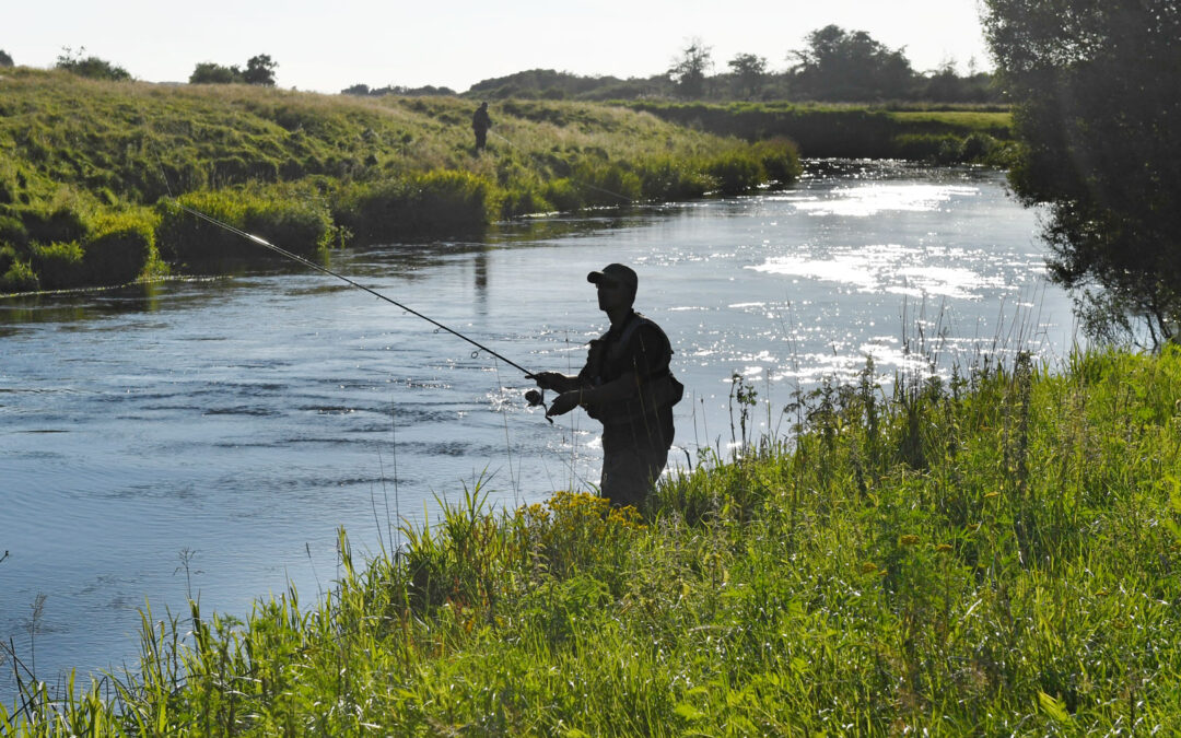 Så er laksekvoterne for 2026 i de vestvendte lakseåer kommet.
