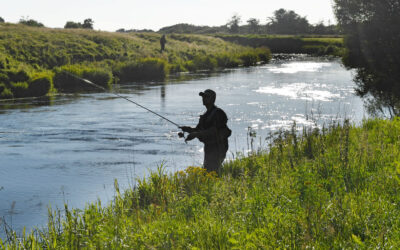 VESTJYLLAND: SÅ ER LAKSEKVOTERNE FOR 2026 KOMMET