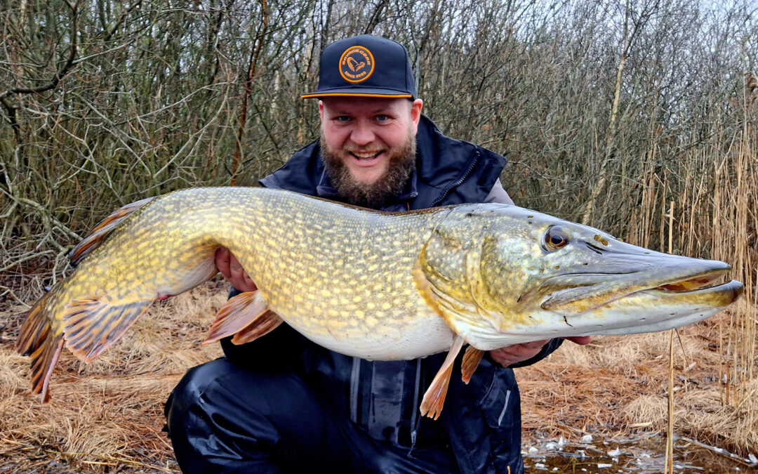 Mads Davidsen med sin massive trettenkilos gedde, der huggede på en Hybrid Pike.
