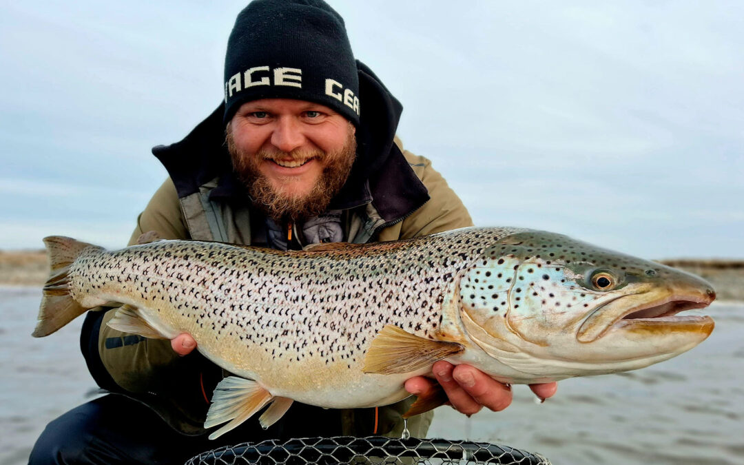 - Fiskeriet startede egentlig fint, men allerede efter 10 minutter gik vandet fuldstændig amok, fortæller Mads Davidsen – prostaffer for Savage Gear. - En sæl var gået på jagt efter havørrederne, og det tog – som forventet – toppen af fiskenes bidelyst. Efter lidt tid begyndte fiskene dog at vise interesse igen, og jeg fik en super flot havørred på 64 cm. Derudover fik vi flere fisk, og et par stykker over halvmeteren. - I løbet af dagen var sælen inde og jage flere gange, så det var lidt en blandet fornøjelse. Sidst på eftermiddagen kom den igen og jagede helt vildt, og så forsvandt troen lidt på pladsen. Jeg besluttede derfor at flytte mig, få vasket lidt line og fiske nyt vand af – i håbet om at finde fisk, der ikke havde været presset af sælen. Og det lykkedes heldigvis.