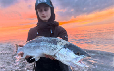 WESTIN CUP 2026: EN SMUK HAVØRRED PÅ EN FANTASTISK FORÅRSAFTEN