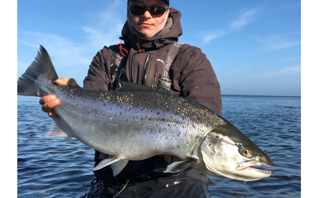 WESTIN CUP 2026: MASSIV HAVØRRED NAKKER TOBISWOBLER PÅ MØN