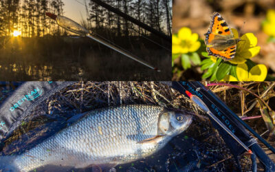 WESTIN CUP 2026: FORÅRSRIMTER VED ÅEN