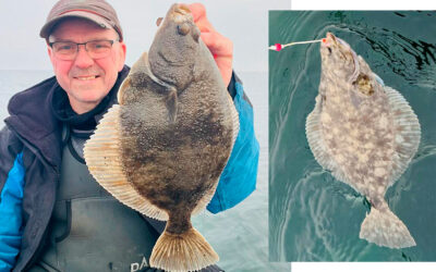 WESTIN CUP 2026: MASSER AF FLADE PÅ ØRESUND