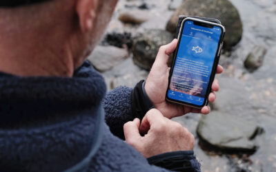 HJÆLP HAVØRREDBESTANDEN – BOOK EN SMOLTVAGT