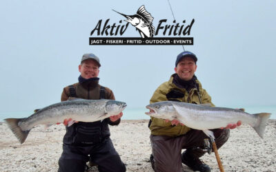 KYST CUP 2026: SENSATIONELT MANGE STORE, BLANKE HAVØRREDER