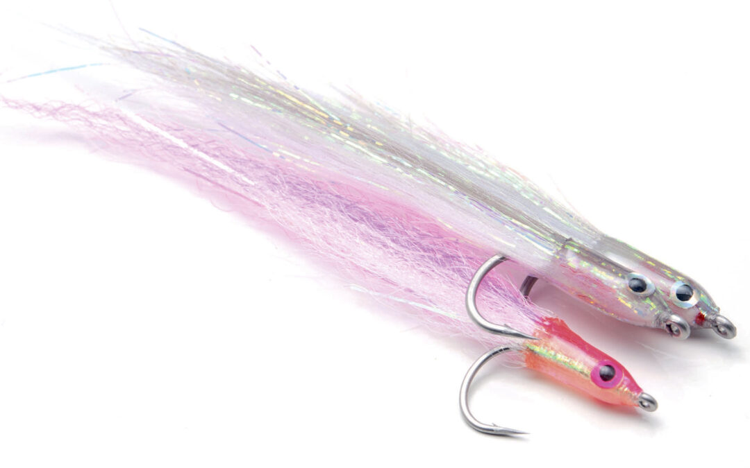 DNA SURF CANDY – DEN PERFEKTE KYSTFLUE TIL HAVØRRED