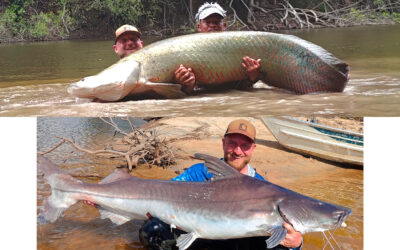 WESTIN CUP 2026: PÅ FISKEEVENTYR EFTER ARAPAIMA I AMAZONAS